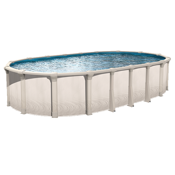 sharkline morada pool